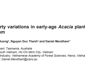 Solid wood property variations in early-age Acacia plantation trees grown in southern Vietnam